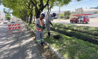 Sanep inicia limpeza de duas estruturas de macrodrenagem