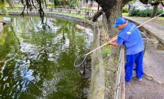 Sanep realiza manutenção do lago da Praça Coronel Pedro Osório