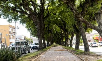 Frentes de trabalho atuam na requalificação da Ferreira Viana