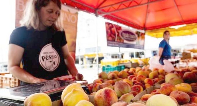 Feira Municipal do Pêssego comercializa 4,9 toneladas da fruta