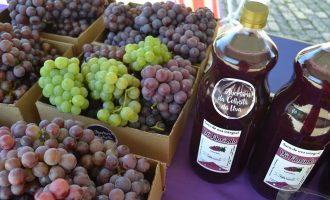 Feira de Uvas de Pelotas se estenderá até o dia 9