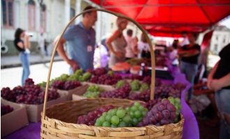 Feira de Uvas de Pelotas é prorrogada por mais uma semana