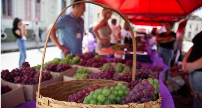 Feira de Uvas de Pelotas é prorrogada por mais uma semana