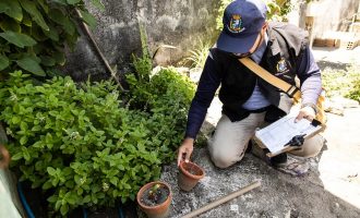 Prefeitura alerta sobre a proliferação do mosquito da dengue