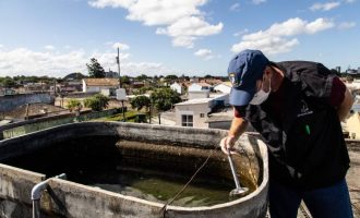 Pelotas adere à campanha nacional de combate à dengue