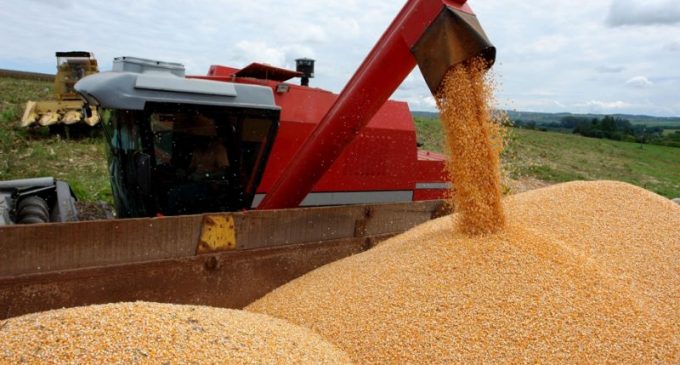 Safra gaúcha: Conab estima produção de 40,18 milhões de toneladas de grãos