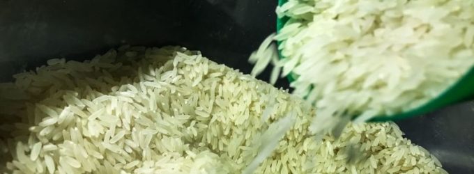 Levantamento identificou classificação inferior à declarada em 215 das 268 amostras selecionadas de arroz vendido como Tipo 1