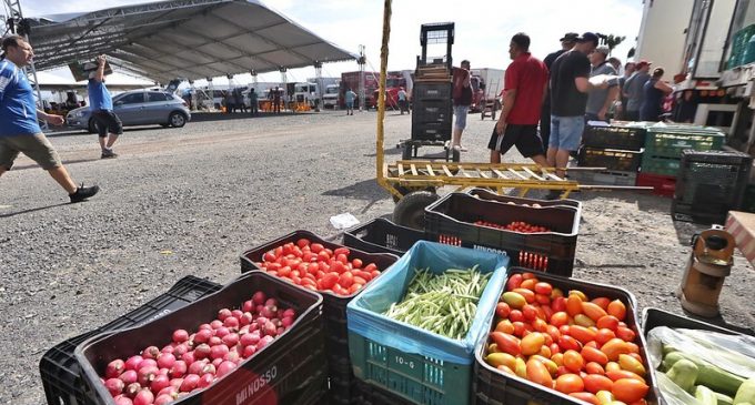 Boletim da Conab traz impactos das fortes chuvas na produção de frutas e hortaliças no RS