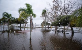 Rio Grande do Sul: cinco boas notícias para começar a semana