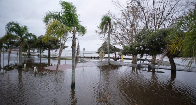 Rio Grande do Sul: cinco boas notícias para começar a semana