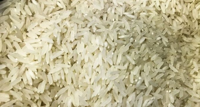 Conab compra 263,3 mil toneladas de arroz importado em leilão