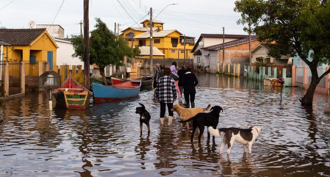 Especialista alerta como se prevenir de contaminações após enchentes