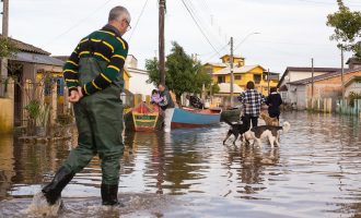 ARTIGO: Não politize! Sinta o drama e ajude