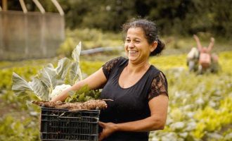 Pronaf investe R$ 15,14 bilhões na agricultura familiar na safra 2023/2024 no Rio Grande do Sul