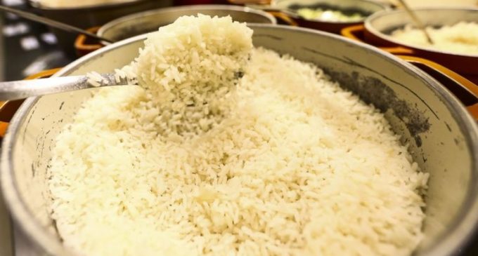 Arroz: governo, indústria e produtor fazem acordo para monitorar preço e dispensa leilão