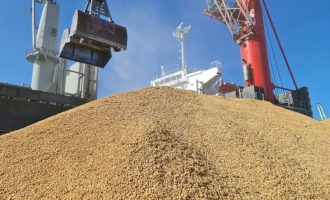 Exportações de arroz pelo Porto do Rio Grande chegam à Europa, África e à América do Sul