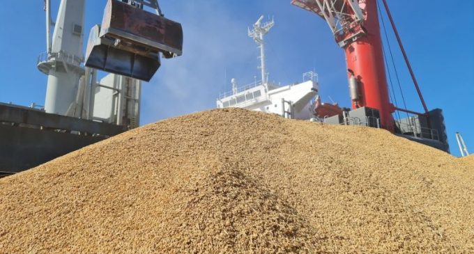 Exportações de arroz pelo Porto do Rio Grande chegam à Europa, África e à América do Sul