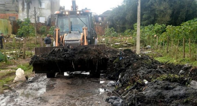 Prefeitura promove limpeza no loteamento Clara Nunes