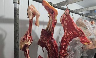 Mais de 12 toneladas de carne são apreendidas em entreposto clandestino de Pelotas