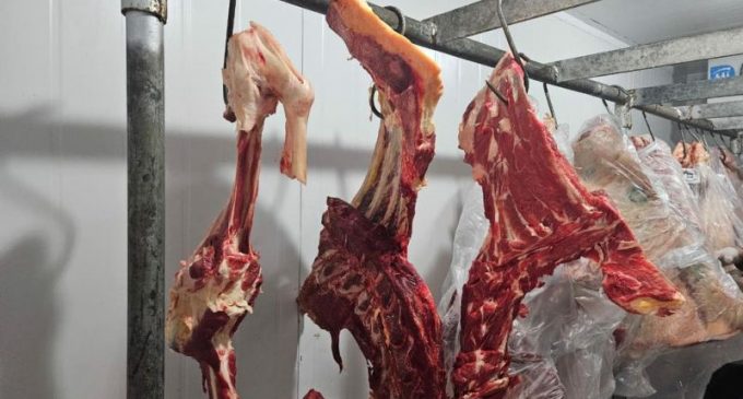 Mais de 12 toneladas de carne são apreendidas em entreposto clandestino de Pelotas