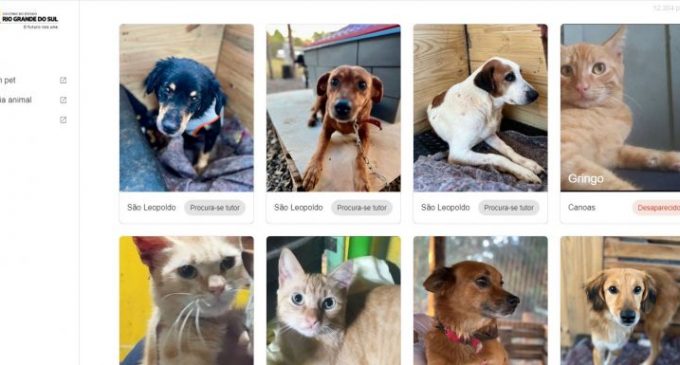 Site Pet RS é o canal oficial do Governo do Rio Grande do Sul para tutores encontrarem pets perdidos