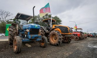 Coordenadora do SOS Agro RS diz que produtores estão desesperados