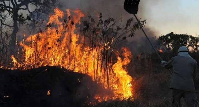 Brasil tem aumento de 107% nos focos de incêndios florestais