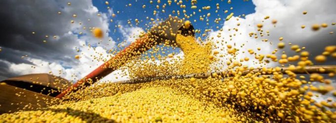 Produção de grãos é estimada em 353,4 milhões de toneladas em 2025/26