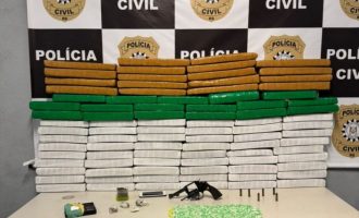 Polícia Civil apreende 67 quilos de maconha em Pelotas