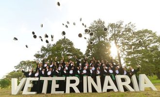 Incra e UFPel formam quarta turma de Medicina Veterinária pelo Pronera