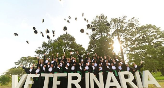 Incra e UFPel formam quarta turma de Medicina Veterinária pelo Pronera