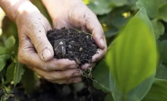 Produção de bioinsumos pode se tornar ilegal em 2025; entenda