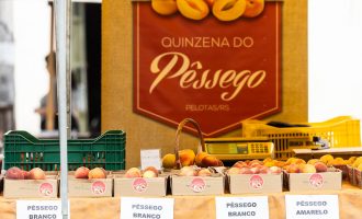 Aberta a Feira Municipal do Pêssego