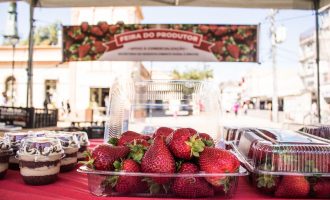 Feira do Morango comercializa cerca de quatro toneladas em um mês