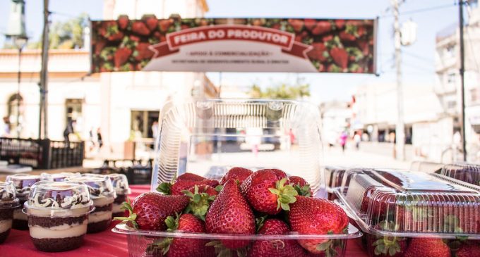 Feira do Morango comercializa cerca de quatro toneladas em um mês