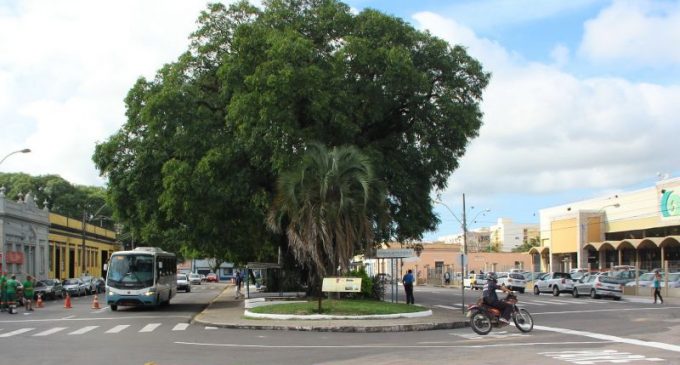 Pelotas sedia 15º Fórum Gaúcho de Arborização nesta semana