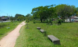 Publicado edital para requalificação dos canteiros da Av. República do Líbano