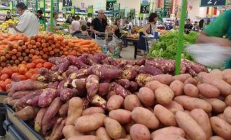 Com quedas nas hortaliças e laticínios, preço da cesta de alimentos fecha 2024 em R$ 284,75 no RS
