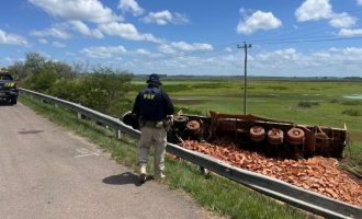 Caminhoneiro perde o controle, tomba veículo e morre na BR-116