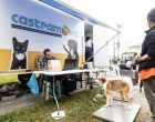 Cadastro para castrações gratuitas no Fragata começa nesta segunda-feira