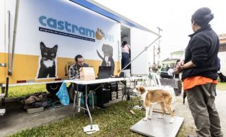 Cadastro para castrações acontece na Prefeitura