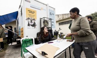 Programa de castrações nos bairros volta ainda em fevereiro