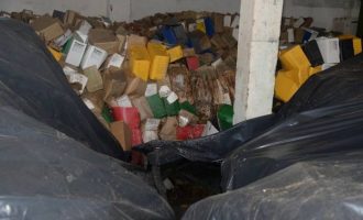 Arquivo Municipal será removido e organizado