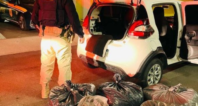 PRF prende traficante transportando 40 kg de Skunk em Rio Grande