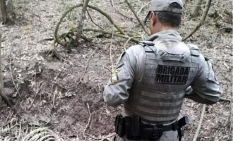 Policiais descobrem abatedouro clandestino de cavalos em Piratini