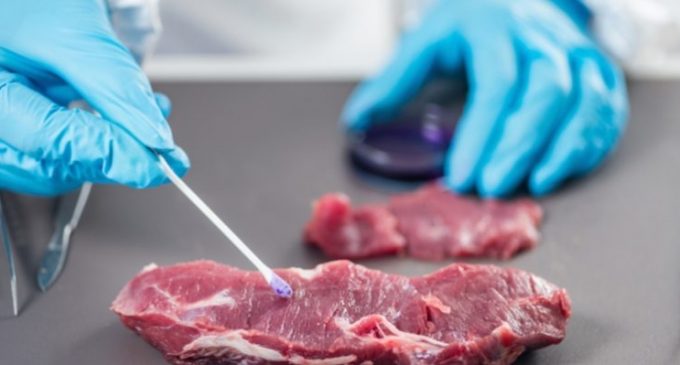 Análise da Vigilância Sanitária descarta carne podre em merenda escolar