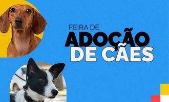 Feira de adoção é transferida para o dia 26 de abril