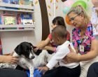 Projeto de Pet Terapia promove interação com animais no HE-UFPel