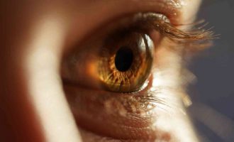 Artigo: Ver o mundo com outros olhos