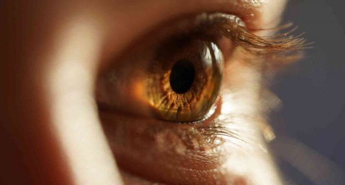 Artigo: Ver o mundo com outros olhos